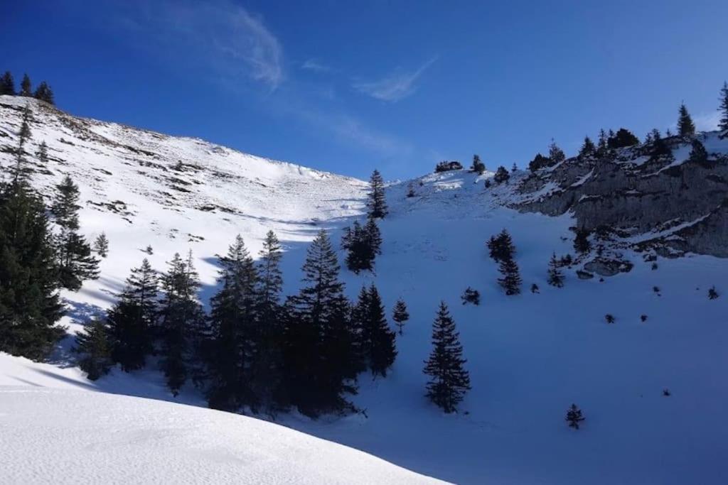 Nice And Cosy Flat Near Geneva Or Annecy Bellegarde-sur-Valserine Luaran gambar