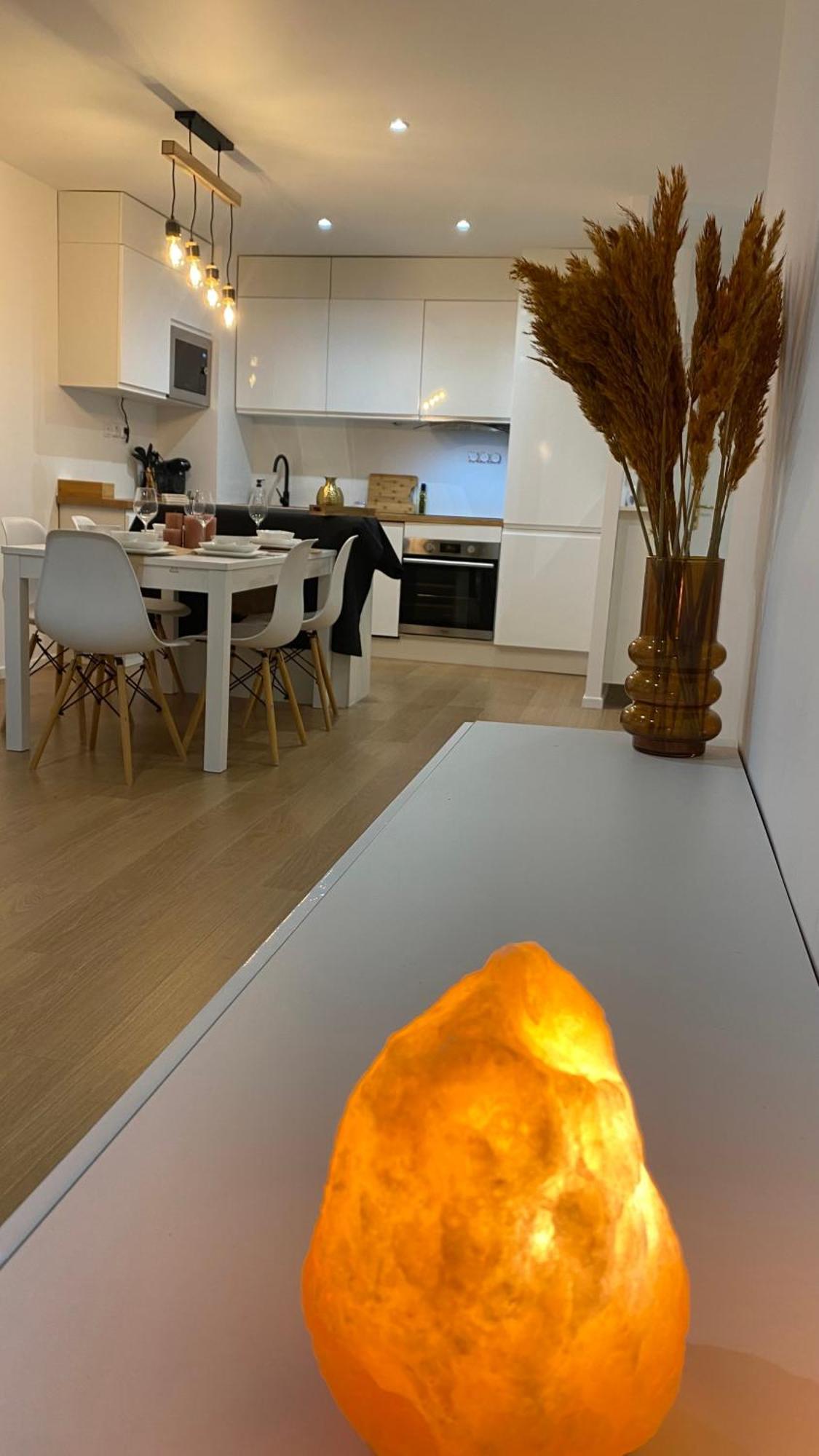 Nice And Cosy Flat Near Geneva Or Annecy Bellegarde-sur-Valserine Luaran gambar